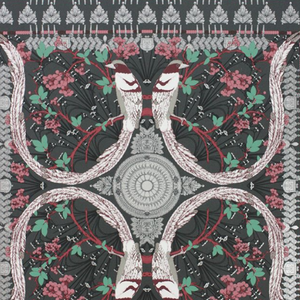 Lyrebird Wallpaper