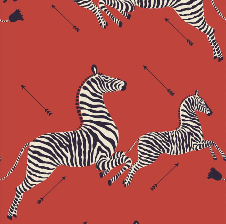 Zebras Wallpaper