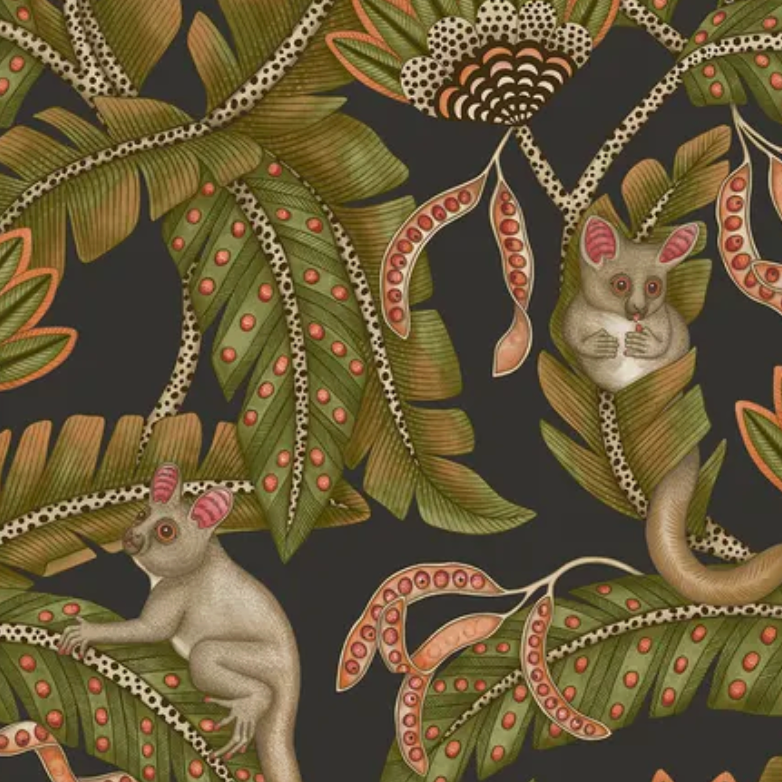 Bush Baby Wallpaper