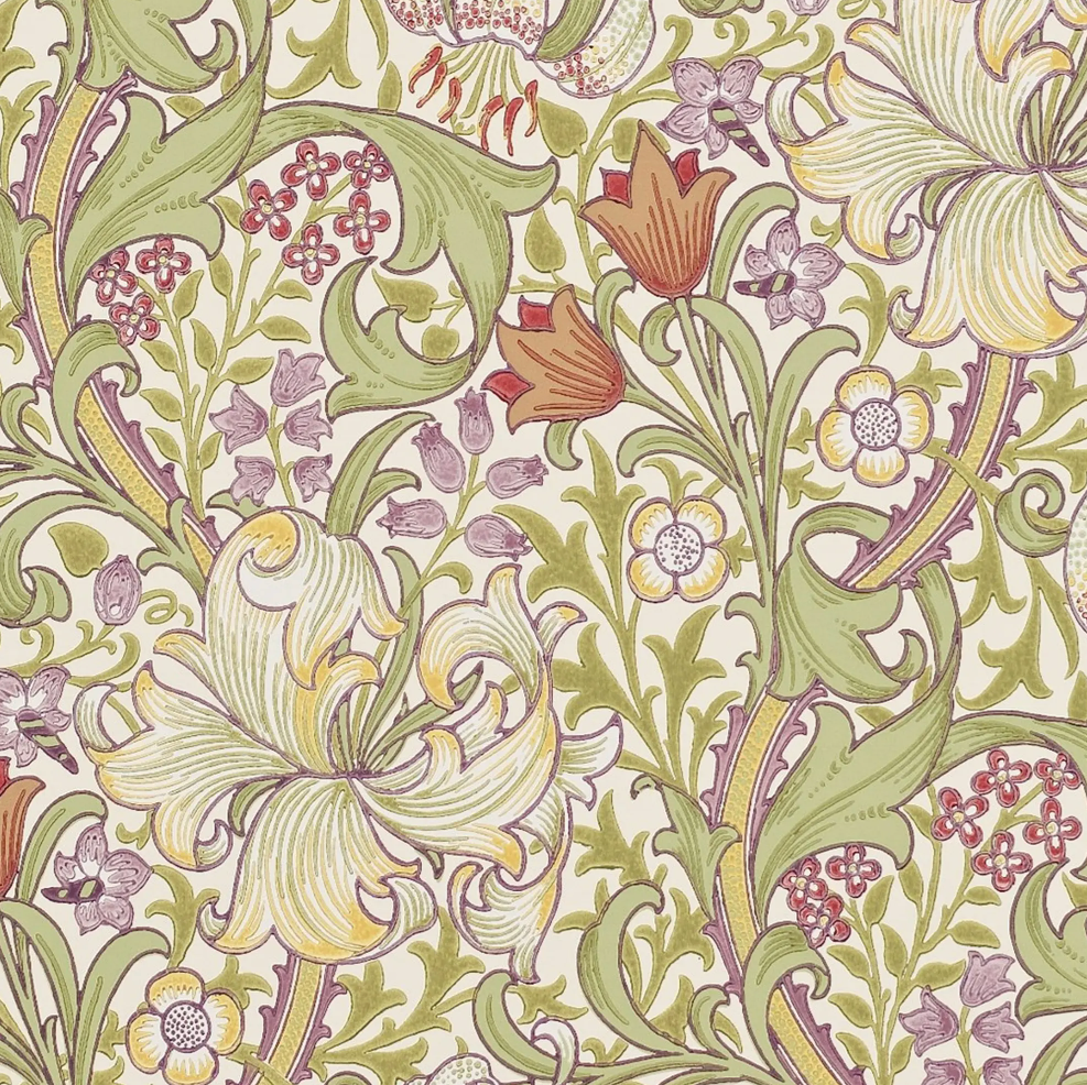 Golden Lily Wallpaper