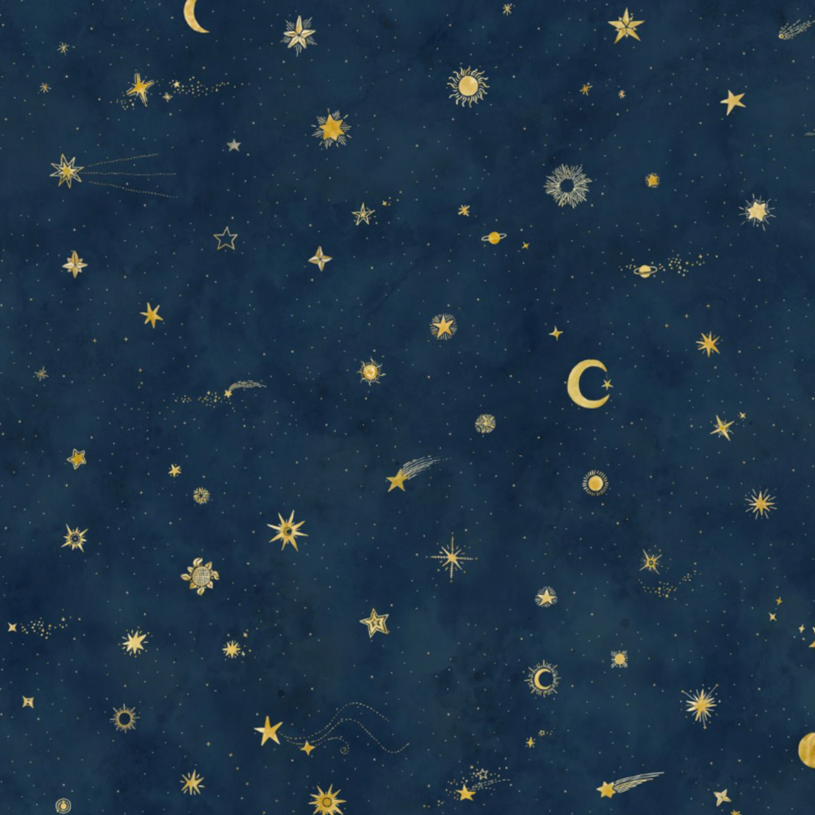 Starry Sky Mural