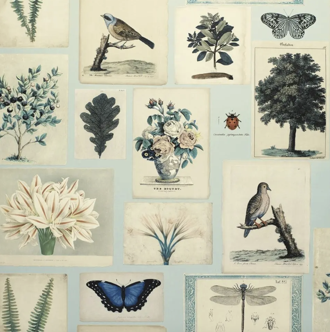 DG Floral and Fauna Wallpaper