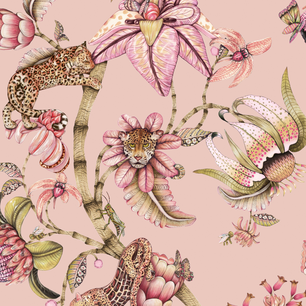 Protea Panthera Wallpaper