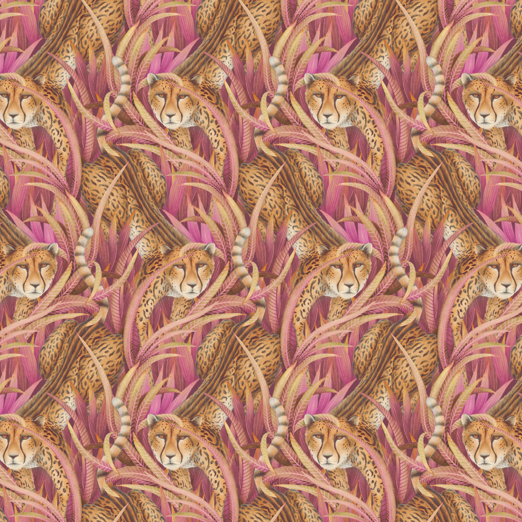 Cheetah Prowl Wallpaper