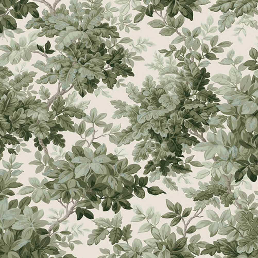 Deciduous Wallpaper