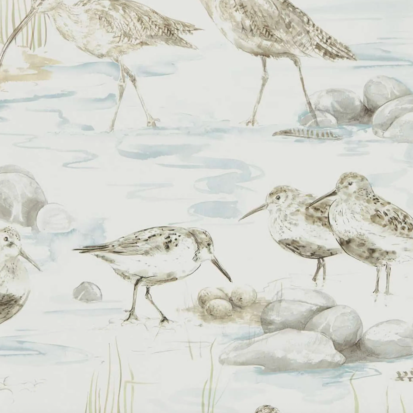 Estuary Birds Wallpaper
