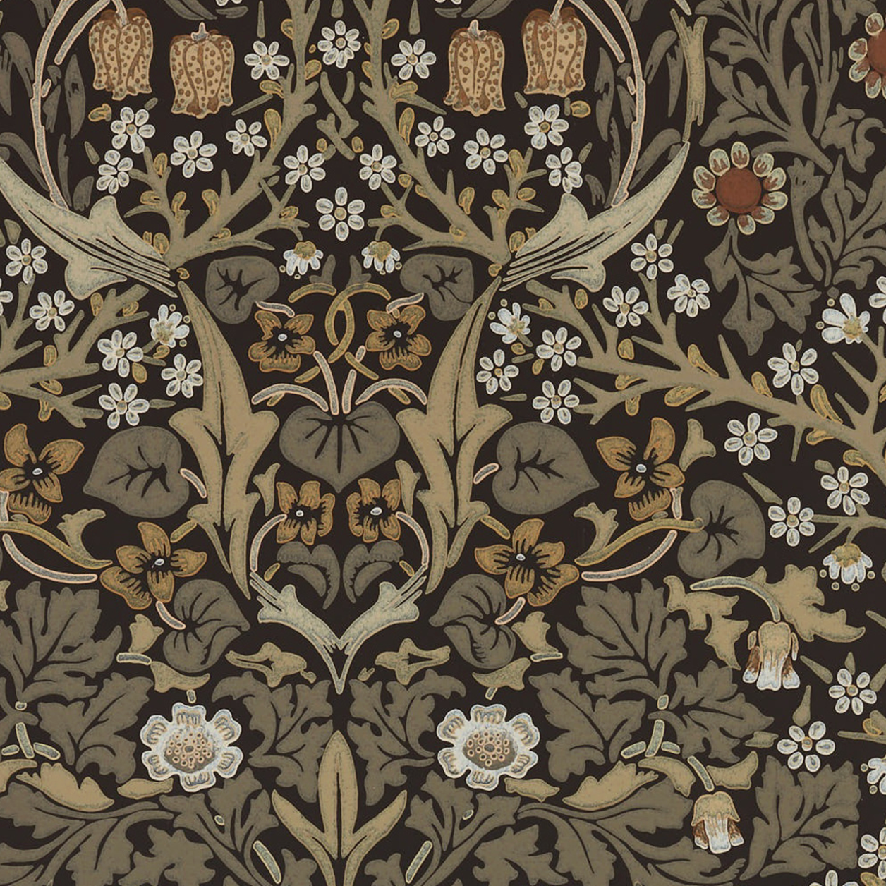 Blackthorn Wallpaper