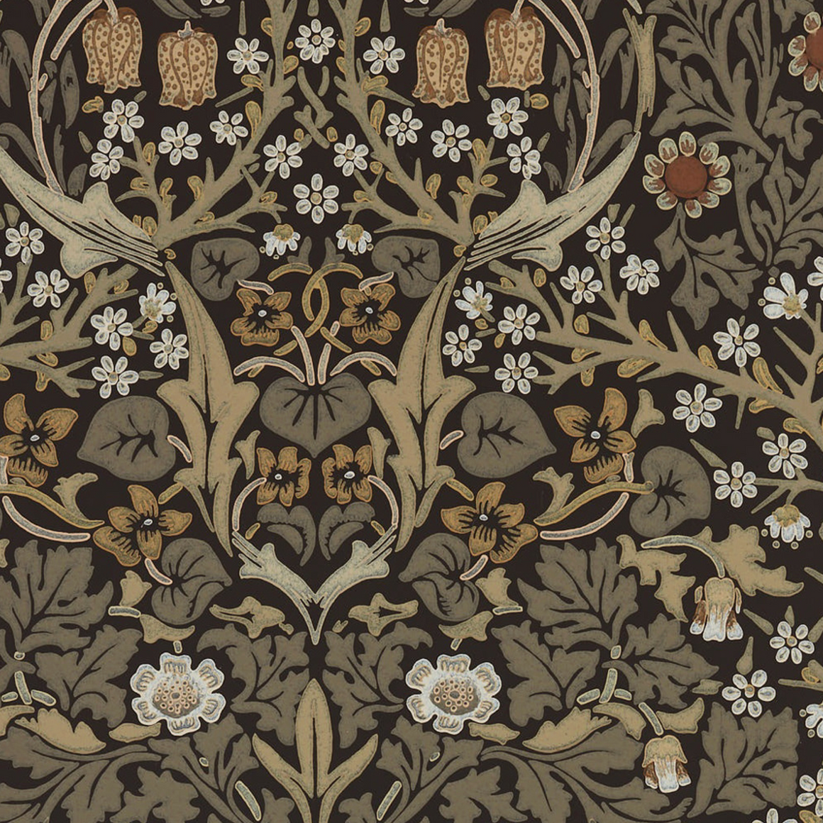 Blackthorn Wallpaper