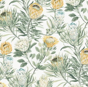Protea Wallpaper