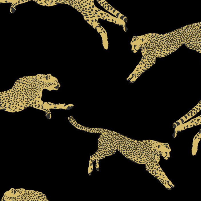 Leaping Cheetah Wallpaper - Urban American Dry Goods Co.