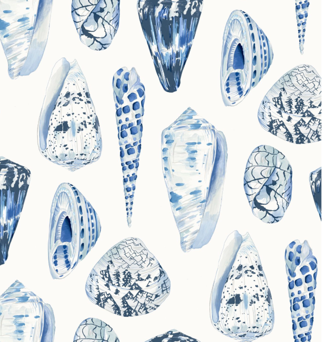 Coquina Wallpaper