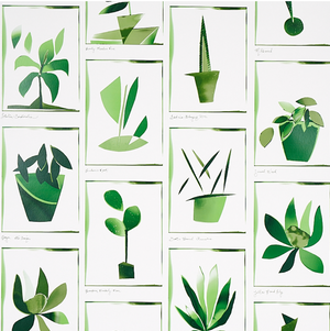 Botanicals Wallpaper