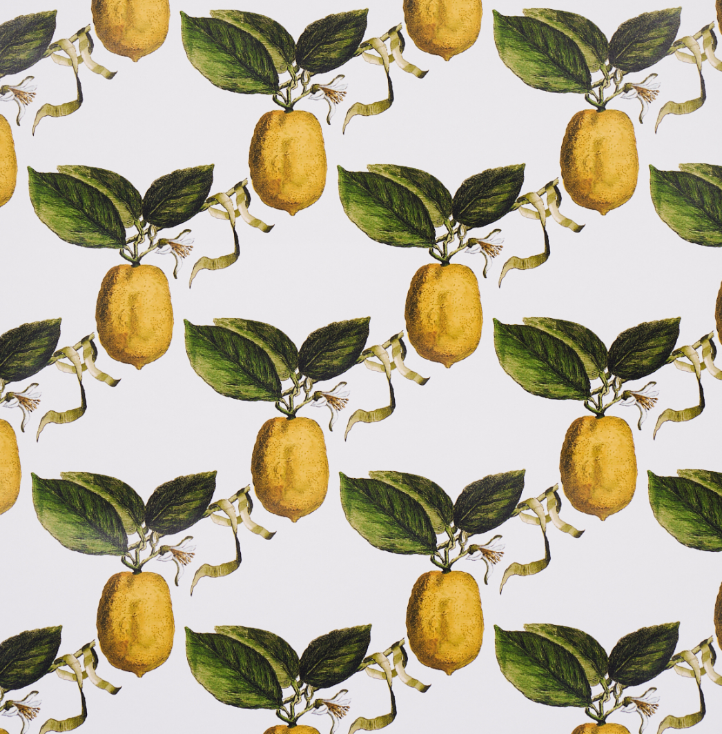 Le Citron Wallpaper
