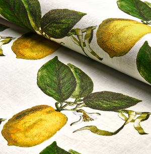 Le Citron Fabric