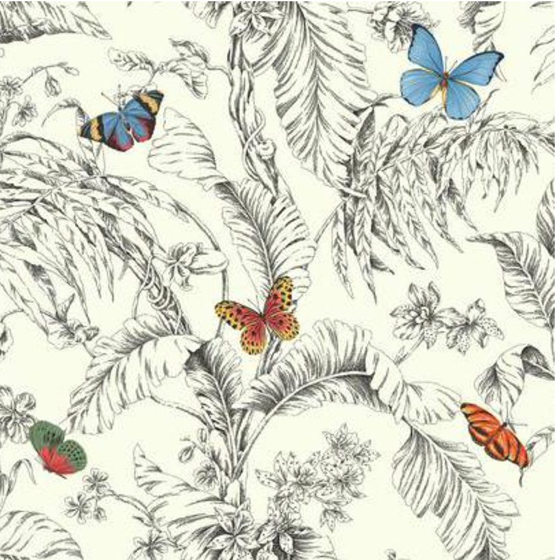 Papillon Wallpaper