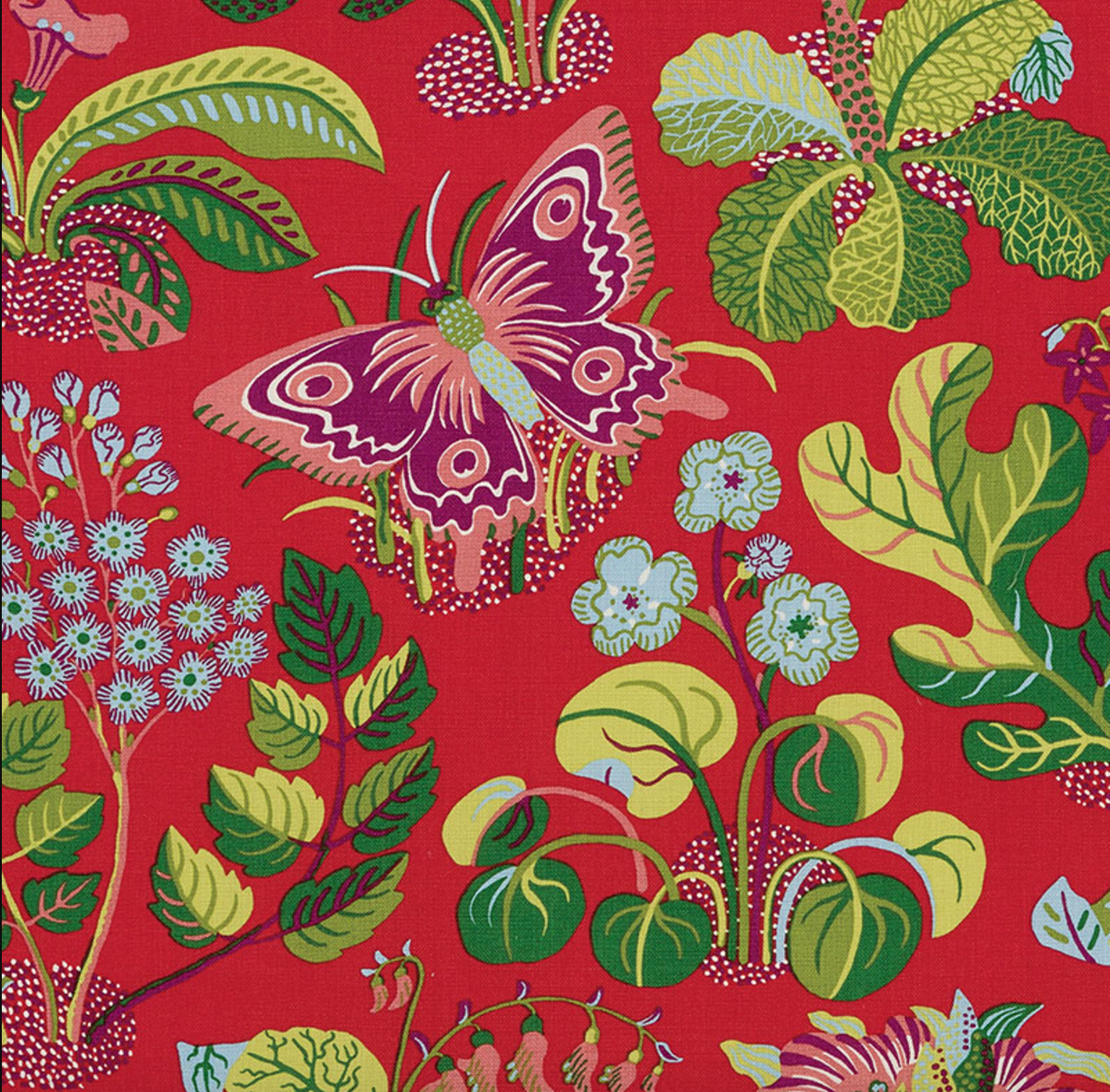 Exotic Butterfly Fabric