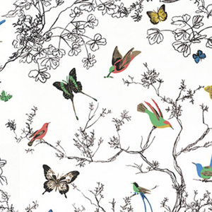 Birds and Butterfly's Fabric