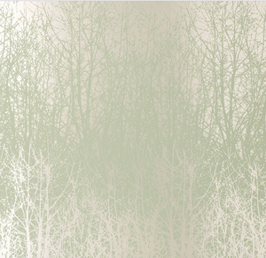 Birches Wallpaper