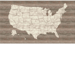 Rustic USA Map Mural
