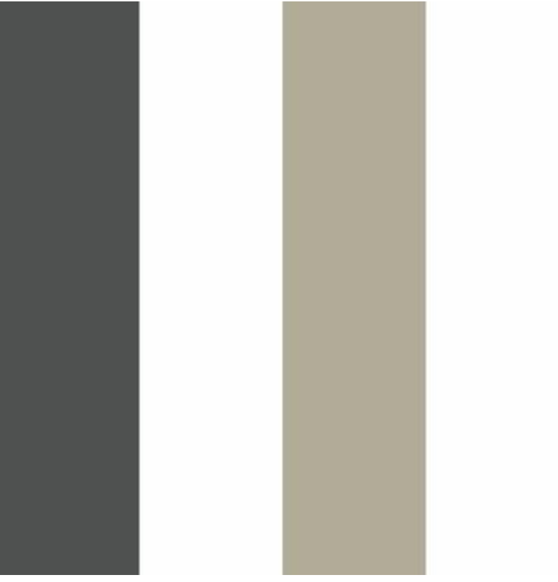 Two Color Wide Stripe Wallpaper
