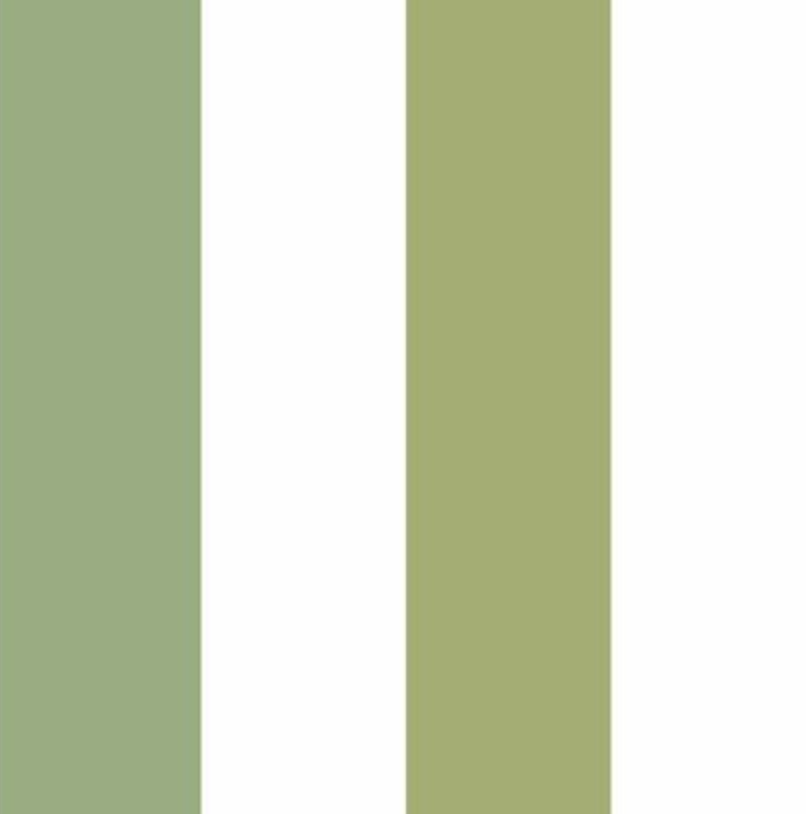 Two Color Wide Stripe Wallpaper