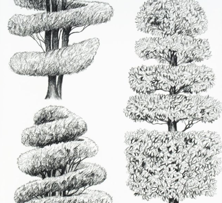 Linnaeus Wallpaper Swatch