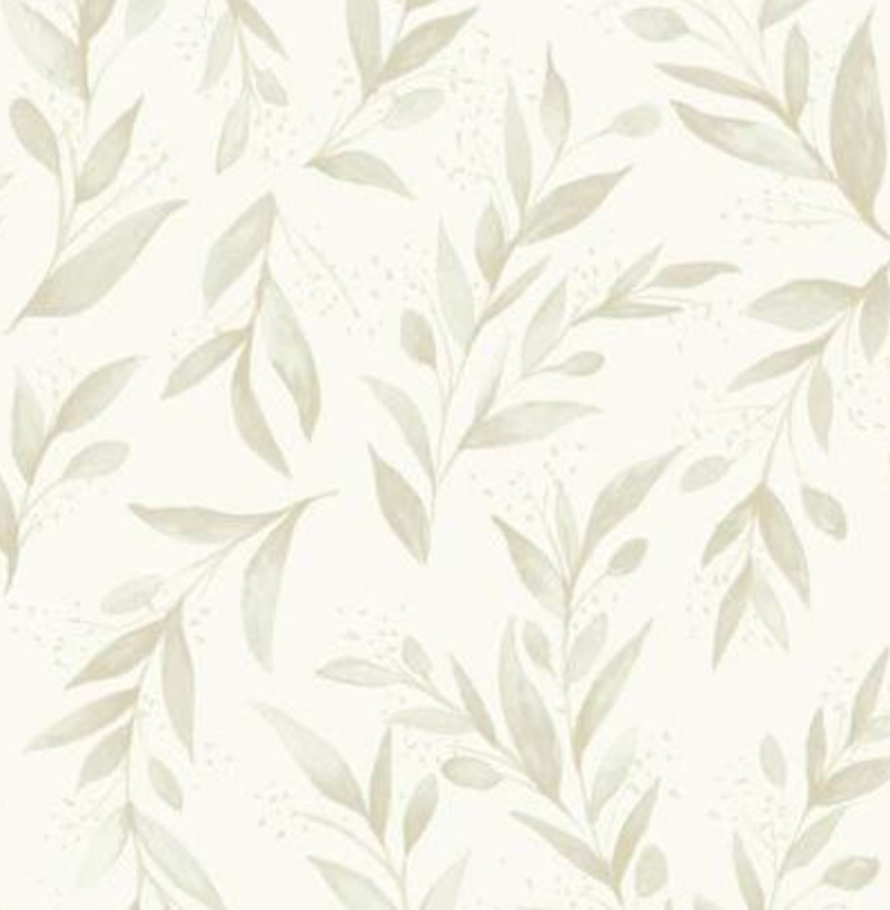 Olive branch Wallpapers Download  MobCup