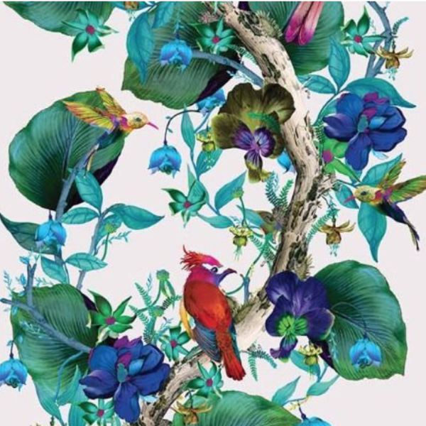 Rain Forest Wallpaper