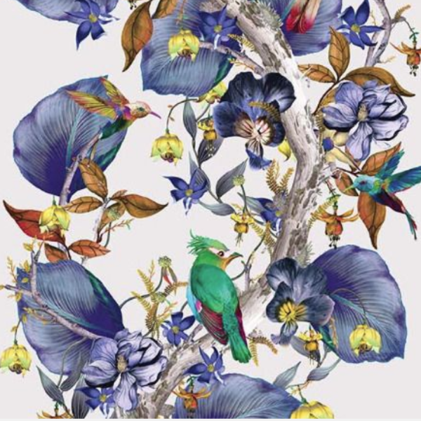 Rain Forest Wallpaper