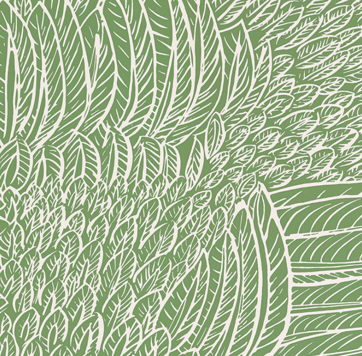 Feather Fest Wallpaper