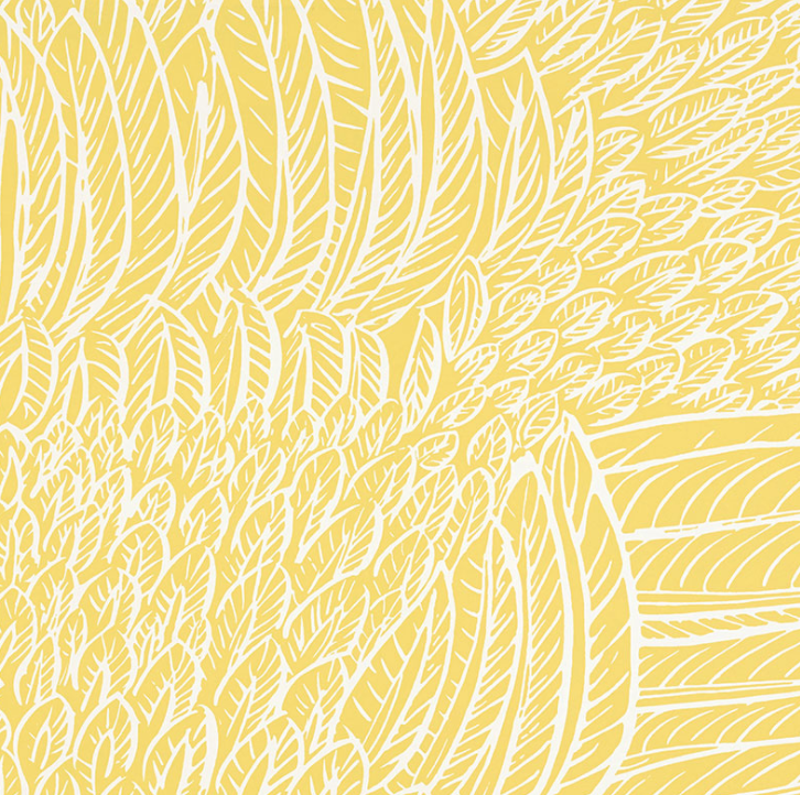 Feather Fest Wallpaper