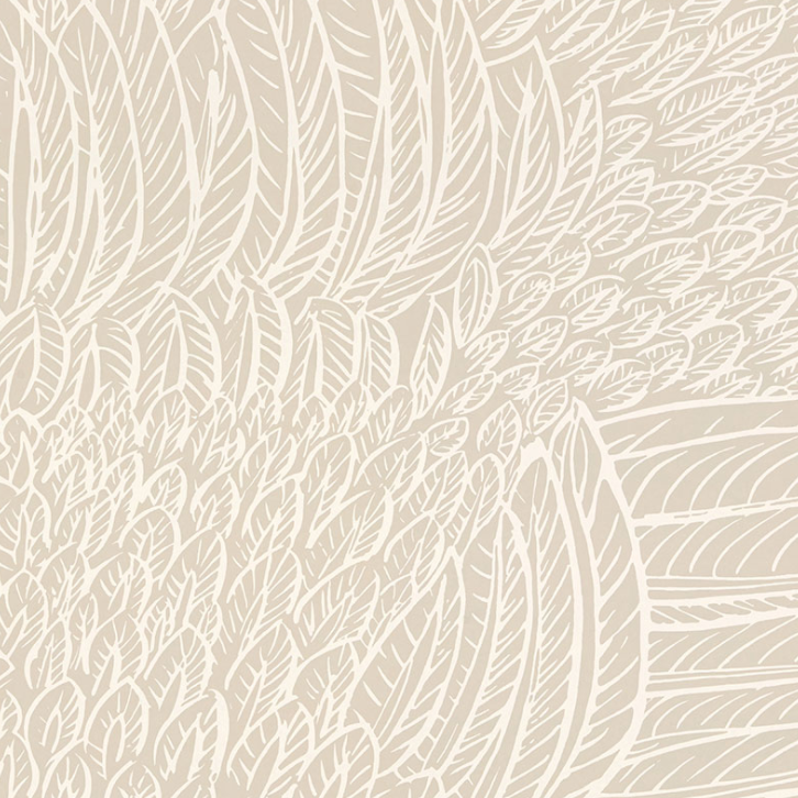 Feather Fest Wallpaper