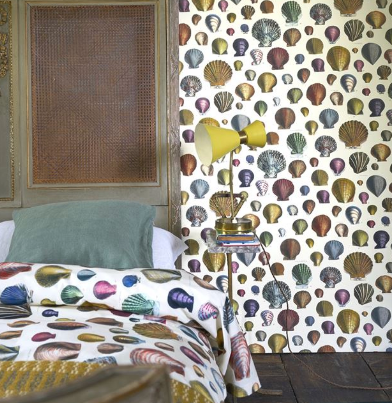 Captain Thomas  Browns Shells Wallpaper