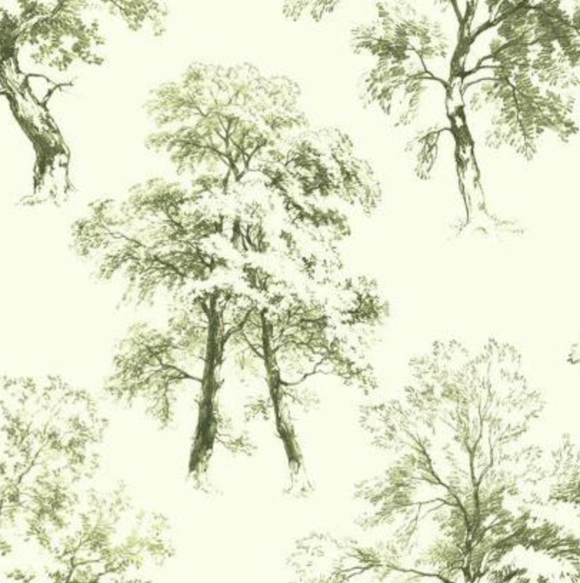 Deciduous Wallpaper