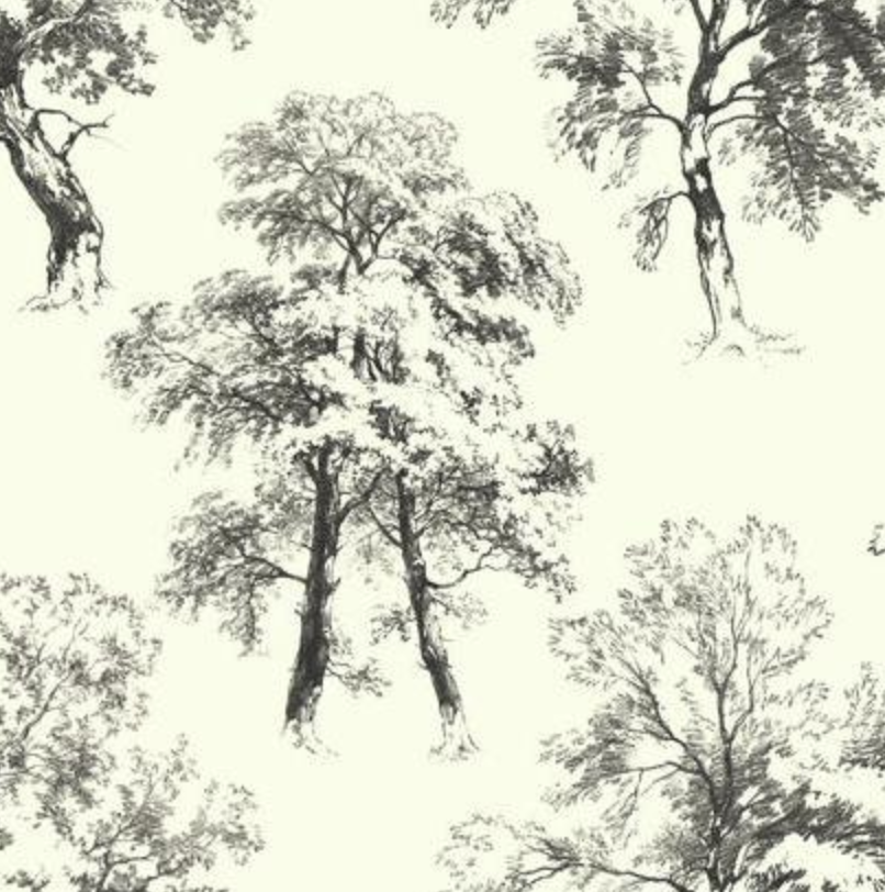 Deciduous Wallpaper