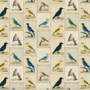 Birds Collage Fabric