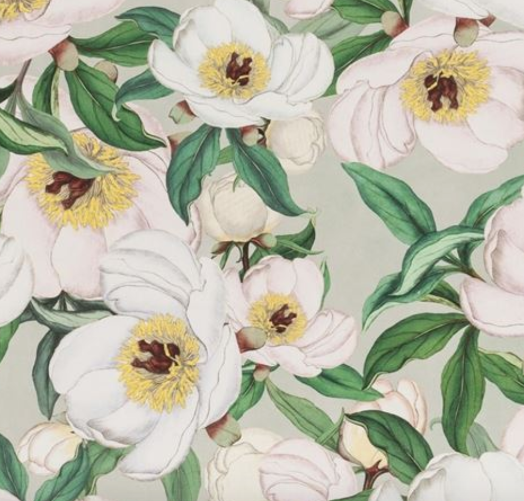 Paeonia Albiflora Fabric