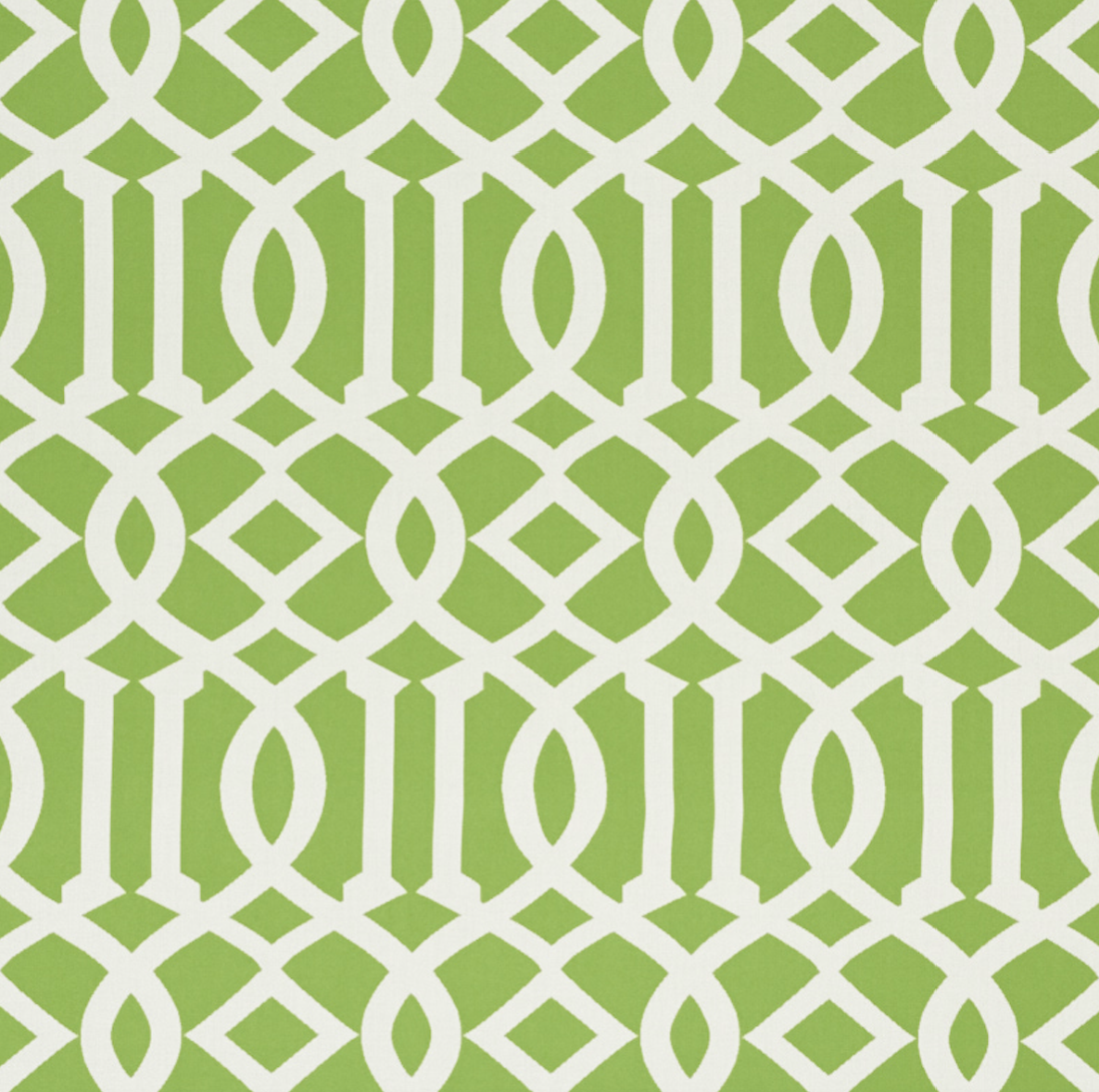 Imperial Trellis li Fabric