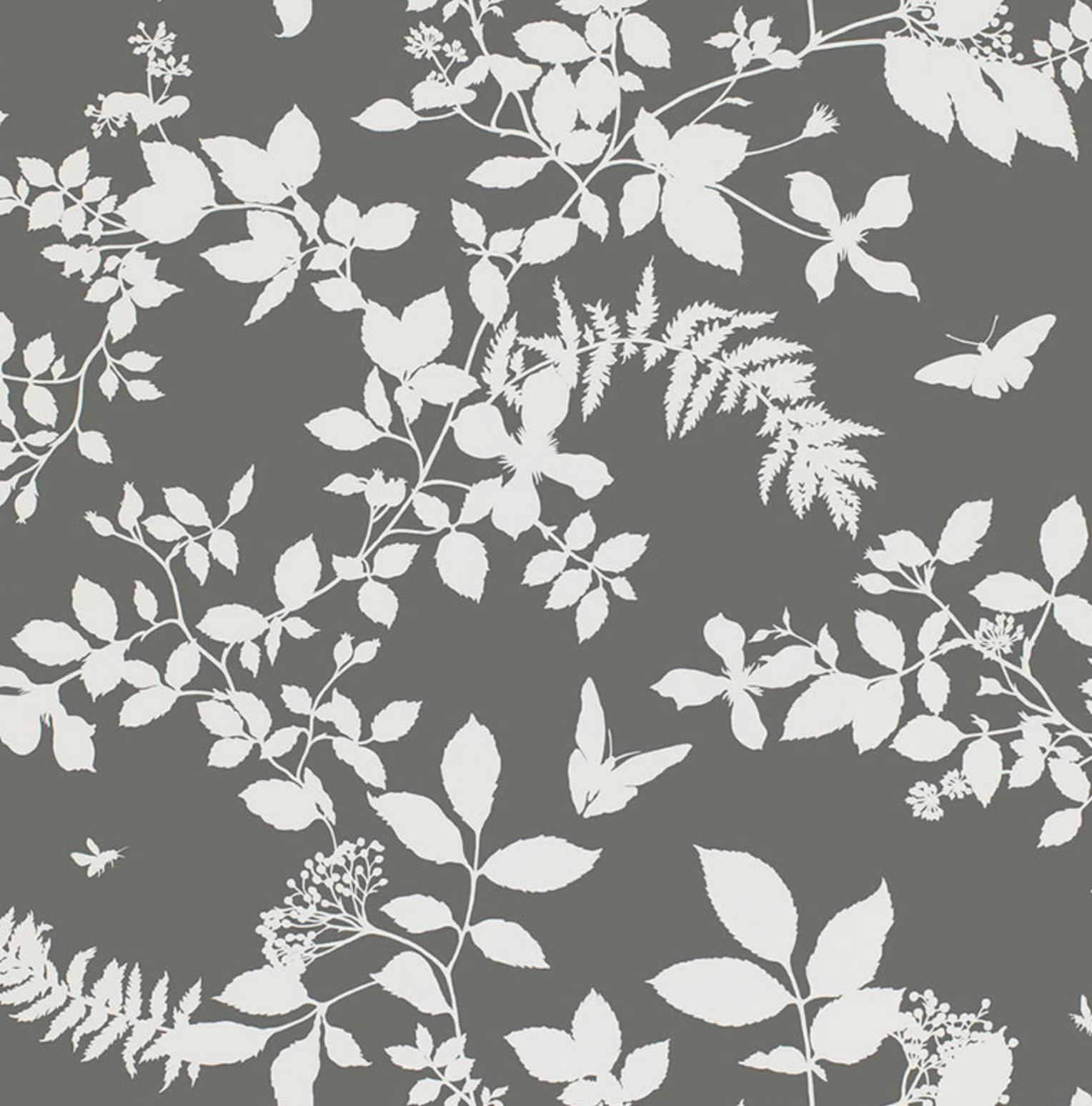 Shadow Garden Wallpaper