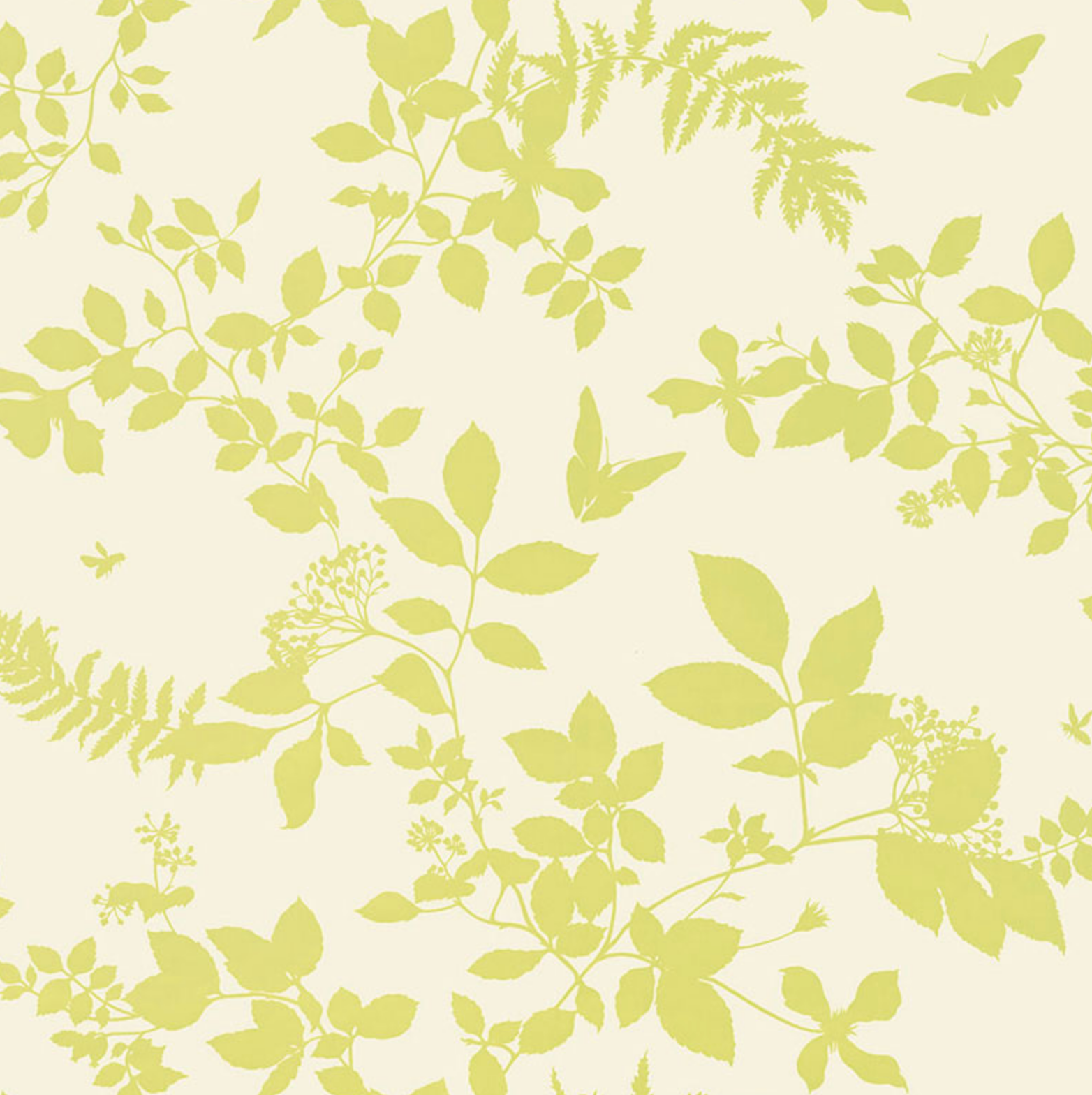 Shadow Garden Wallpaper