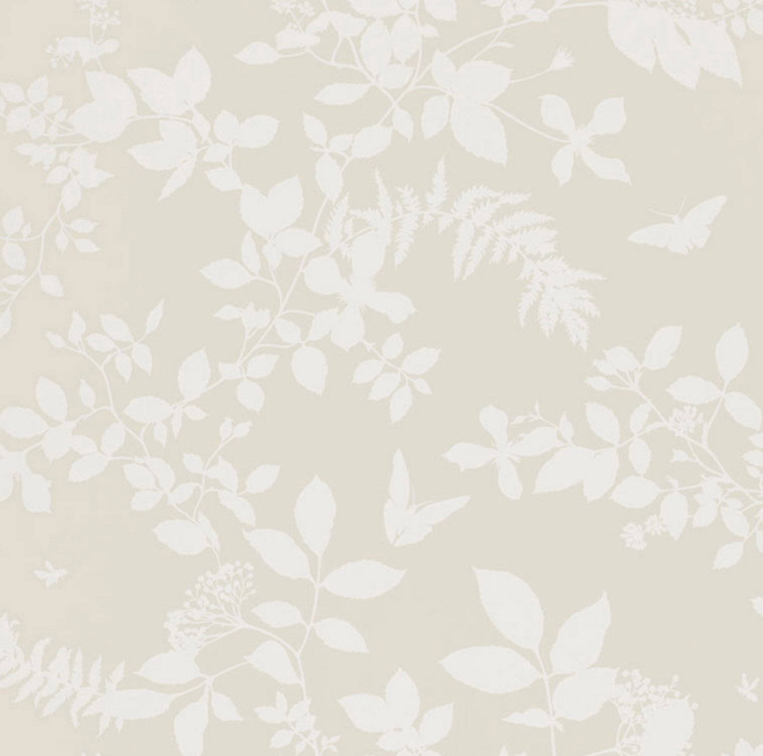 Shadow Garden Wallpaper