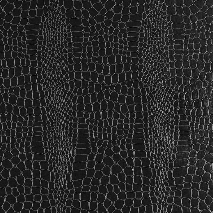 Crockadile Wallpaper