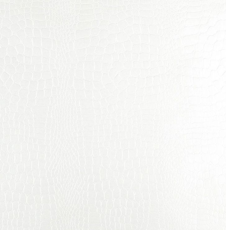 Crockadile Wallpaper