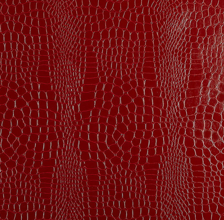 Crockadile Wallpaper