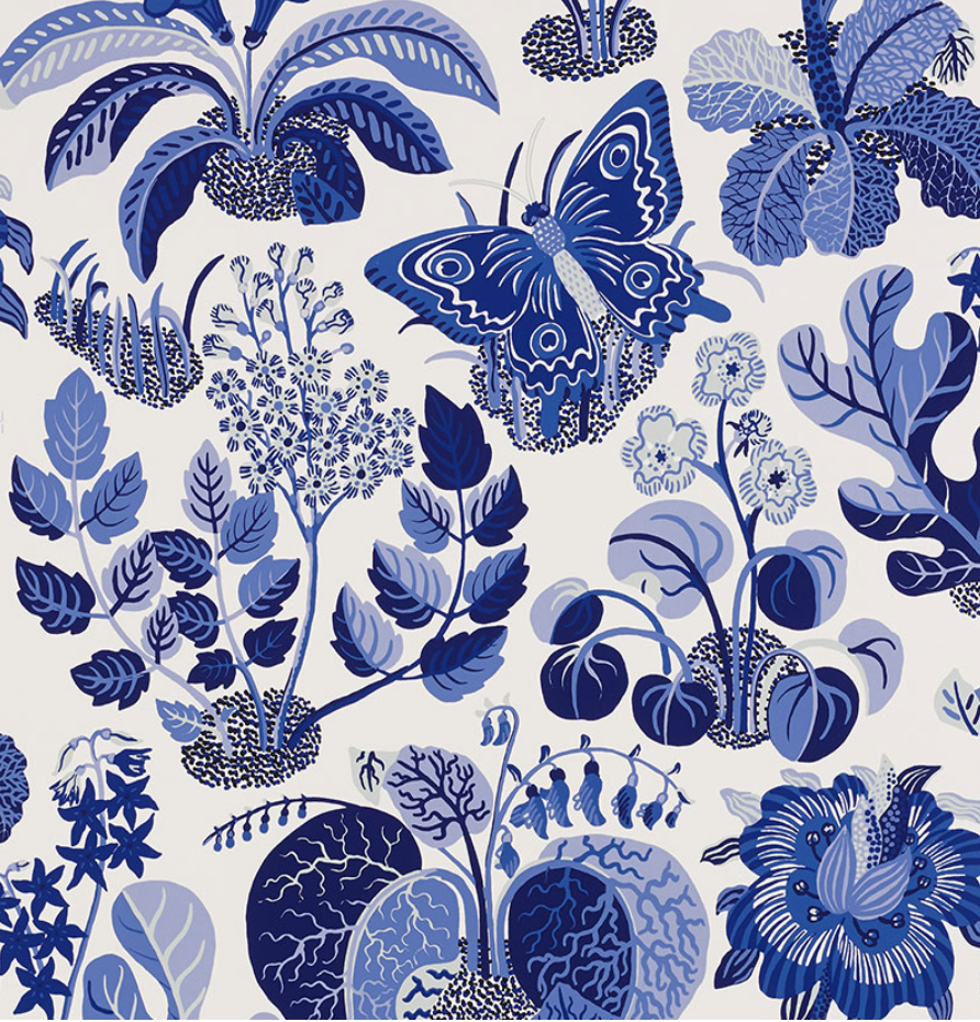 Exotic Butterfly Wallpaper