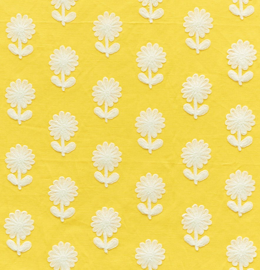 Paley Embroidered Fabric