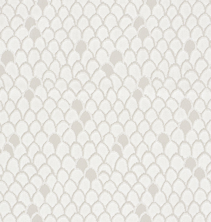 Esther Velvet Fabric