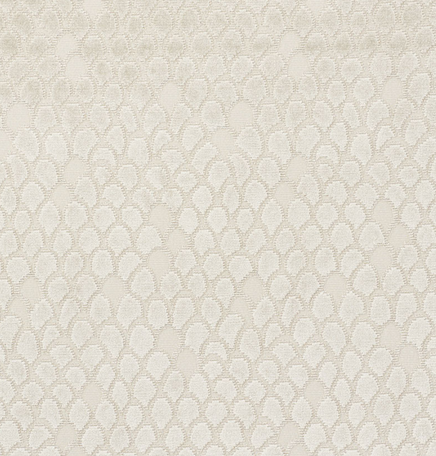 Esther Velvet Fabric