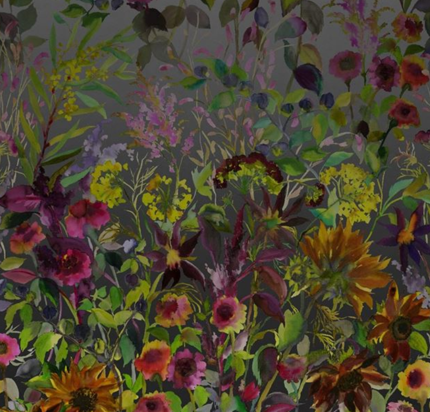 Indian Sunflower Wallpaper