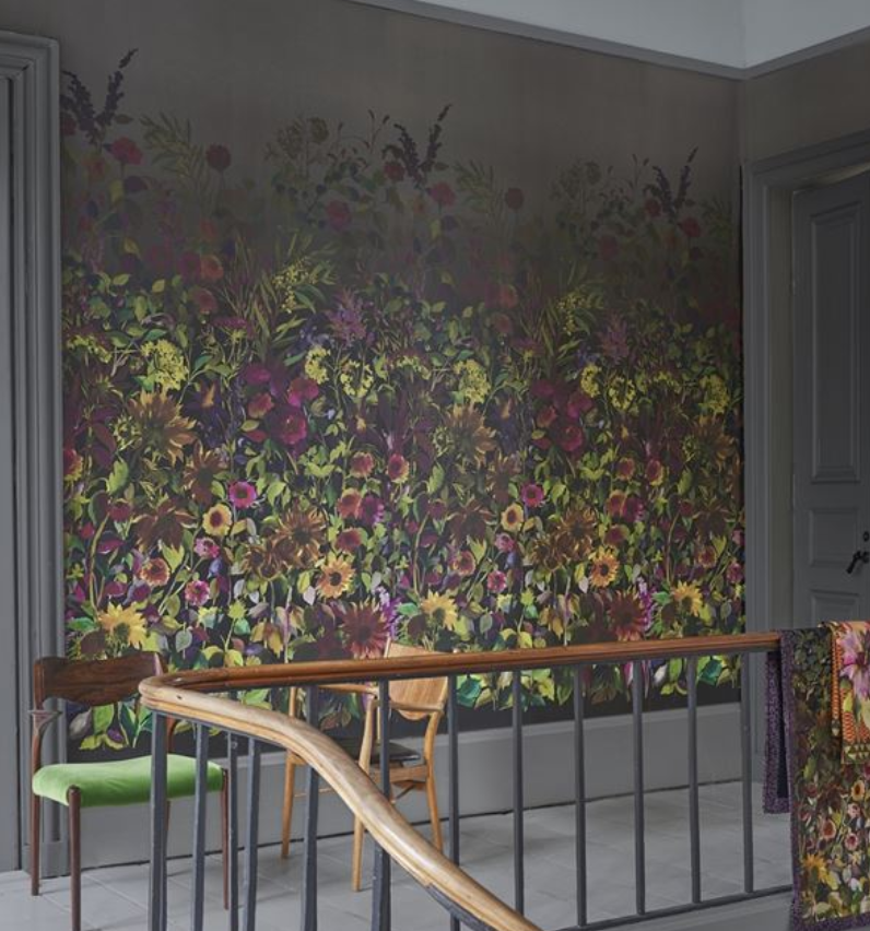 Indian Sunflower Wallpaper